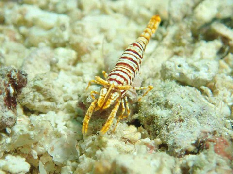 P8120061