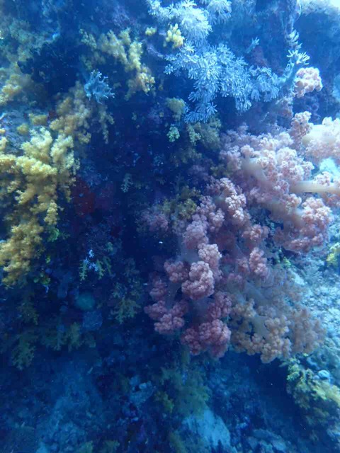 PB051130