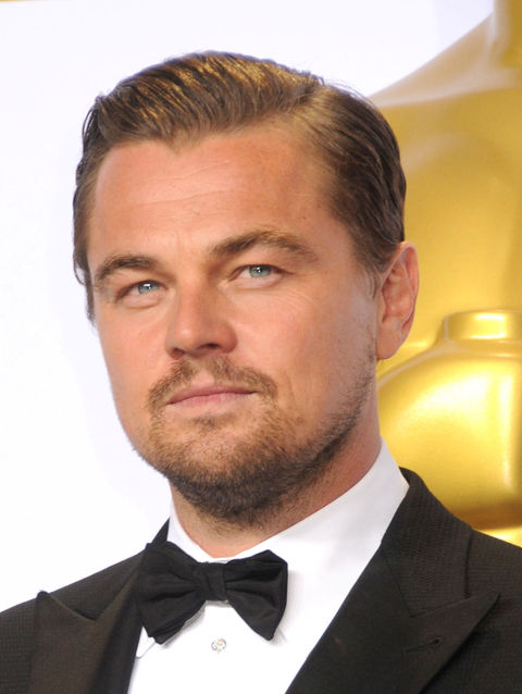 leo2017812