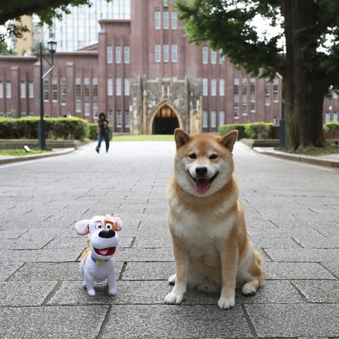 まるちゃんアー写