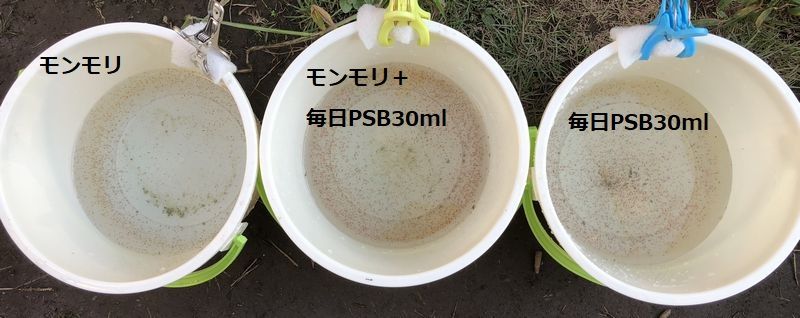 和香特選生クロレラ原液100ml 関連:めだか金魚稚魚ミジンコPSBP