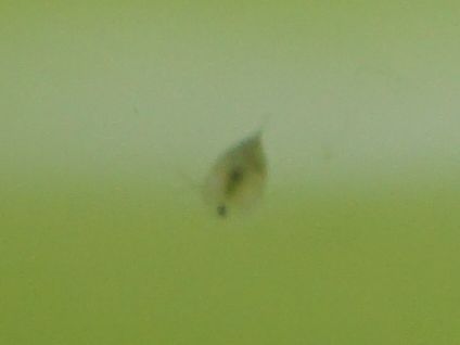 000DSC06690
