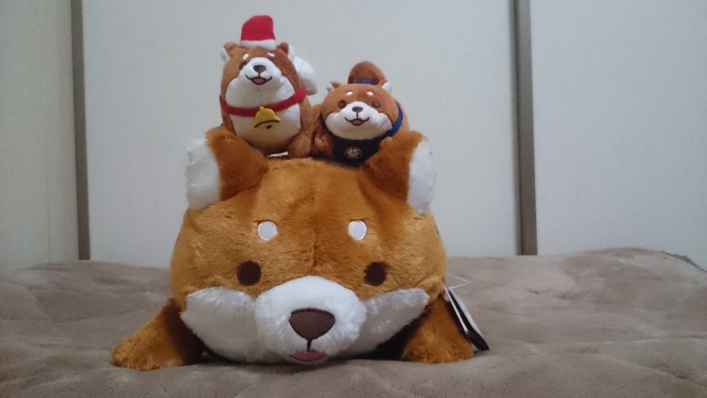 忠犬もちしば 午後三時の独壇場