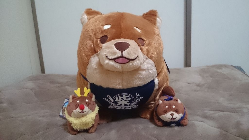 忠犬もちしば 午後三時の独壇場