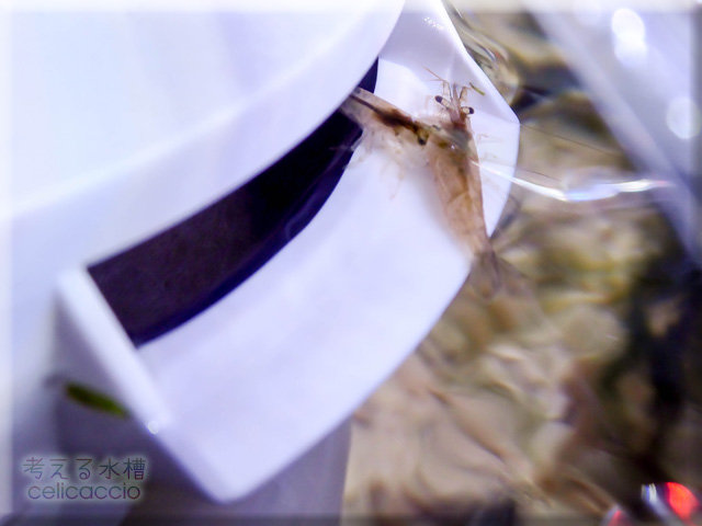 20190521_004