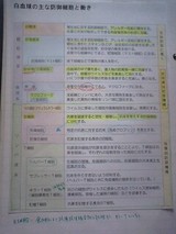 f5c36611.jpg