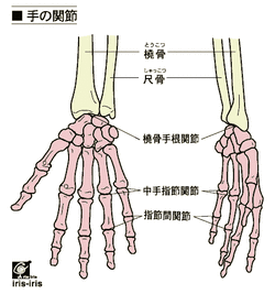 指の動きのために