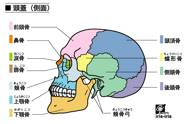 口に力が入ること1 チェロと歩む 口に力が入ること1 チェロと歩む