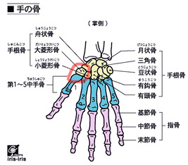 BlogPaint