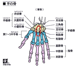 BlogPaint