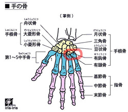 BlogPaint