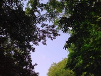 KIMG0359