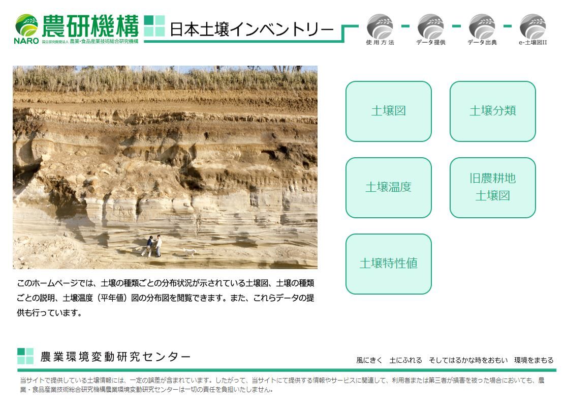 セメントの犬の雑記ブログ