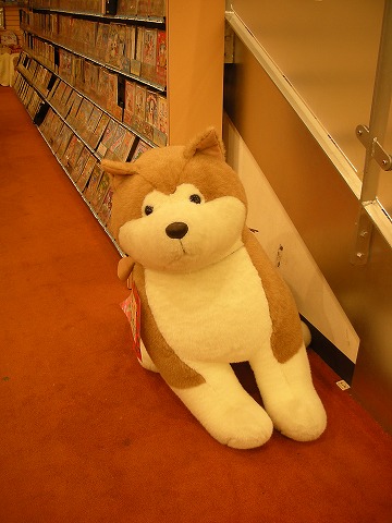 港北みなも 蔦屋書店 Tsutaya センター北ブログ 港北みなも 蔦屋書店 Tsutaya センター北ブログ