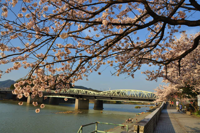 橋上駅