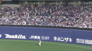 com-video-to-gif-2