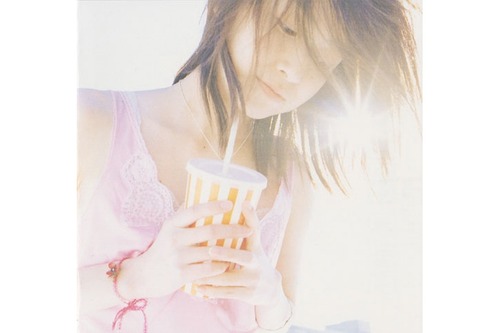 フォトグラファー、日常