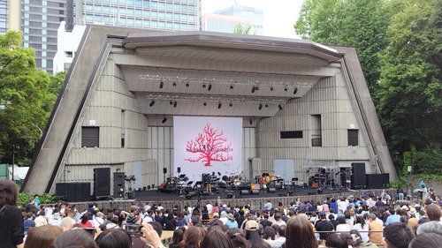 日常、コンサート