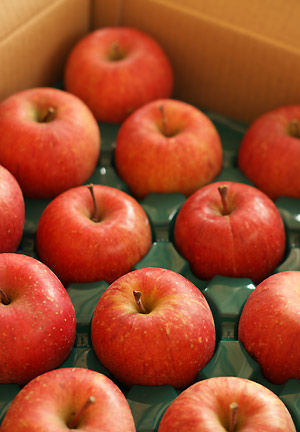 mu_20111224215902.jpg
