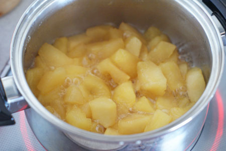 dryapple04.jpg