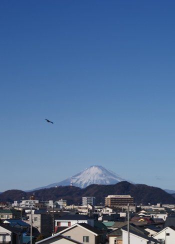 2018-01-03_8kufuji