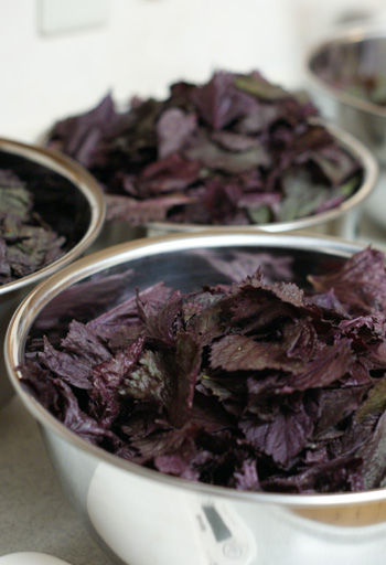 shiso.jpg