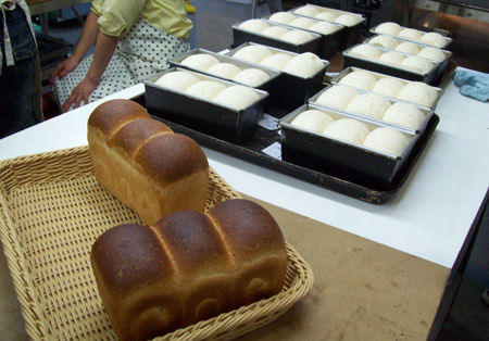 z01_20111023102045.jpg