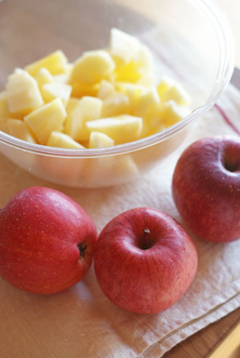 dryapple01.jpg