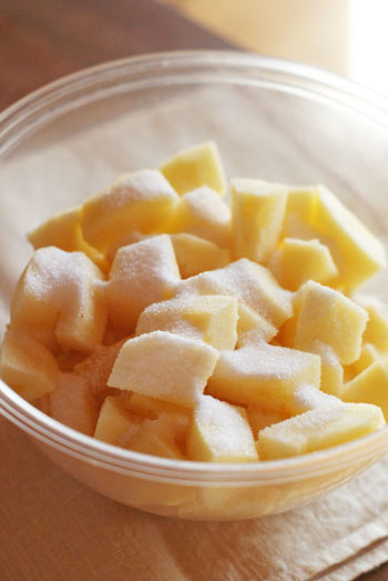 dryapple02.jpg