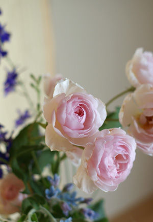 hana_20110617151735.jpg