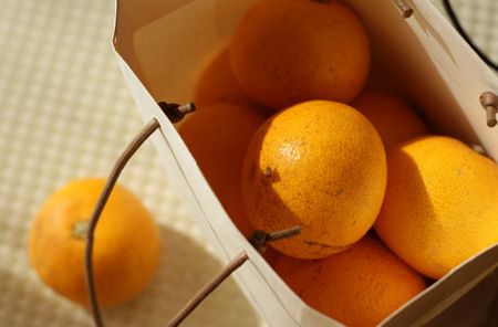 mikan03.jpg