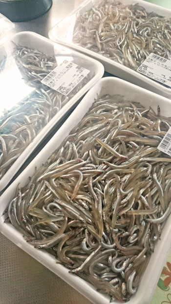 2016-03-24kugini01