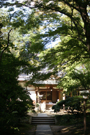 hira02.jpg