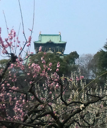 osaka.jpg