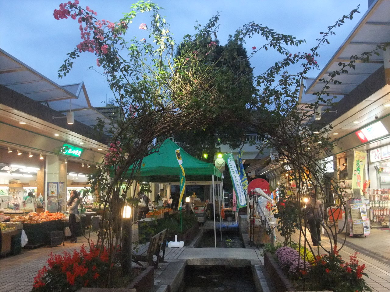 10 22 ショッピングタウンわかば に咲くバラ 横浜市旭区若葉台 Ceres23のblog