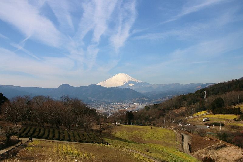 蜂花苑 大井町篠窪 から望む富士山 Ceres23のblog 蜂花苑 大井町篠窪 から望む富士山 Ceres23のblog