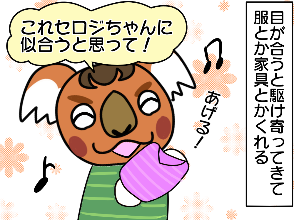 あつ森 不器用なキャンベラ ゲーム 奥様はcero Z