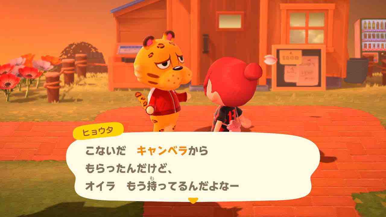 あつ森 不器用なキャンベラ ゲーム 奥様はcero Z