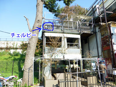 続 二子玉散歩 犬連れセルフフレンチ Cheerful Cervino