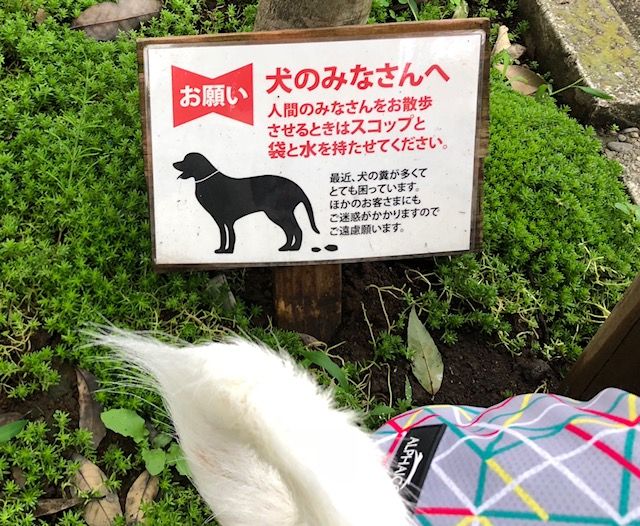 犬のみなさんへの看板 Cheerful Cervino 犬のみなさんへの看板 Cheerful Cervino