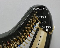 Ulysse4