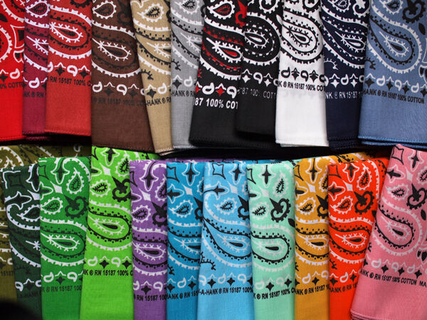 HAV-A-HANK】22inch BANDANA 