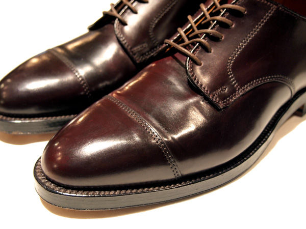 Alden 2160 #8 Shell Cordovan Straight-Tip Blucher : HUNKY DORY