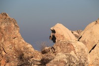 a-IMG_9541