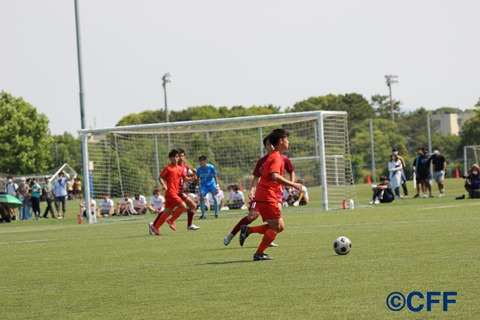 th_IMG_8847