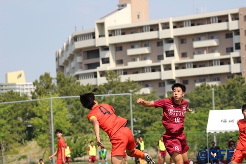 th_IMG_8877