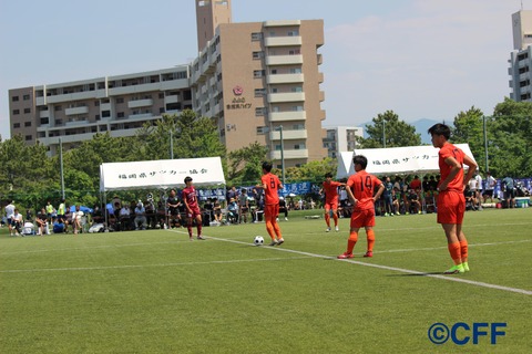 th_IMG_8802