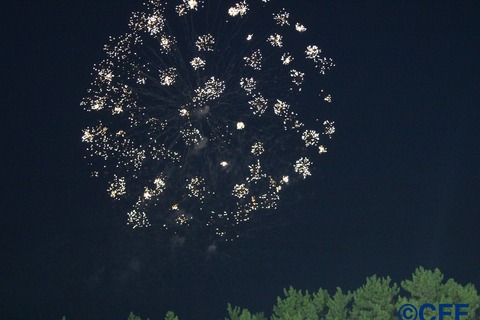 th_IMG_3591