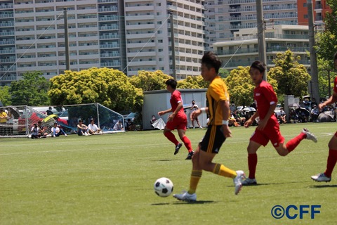 th_IMG_8615