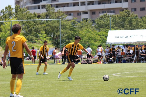 th_IMG_8676
